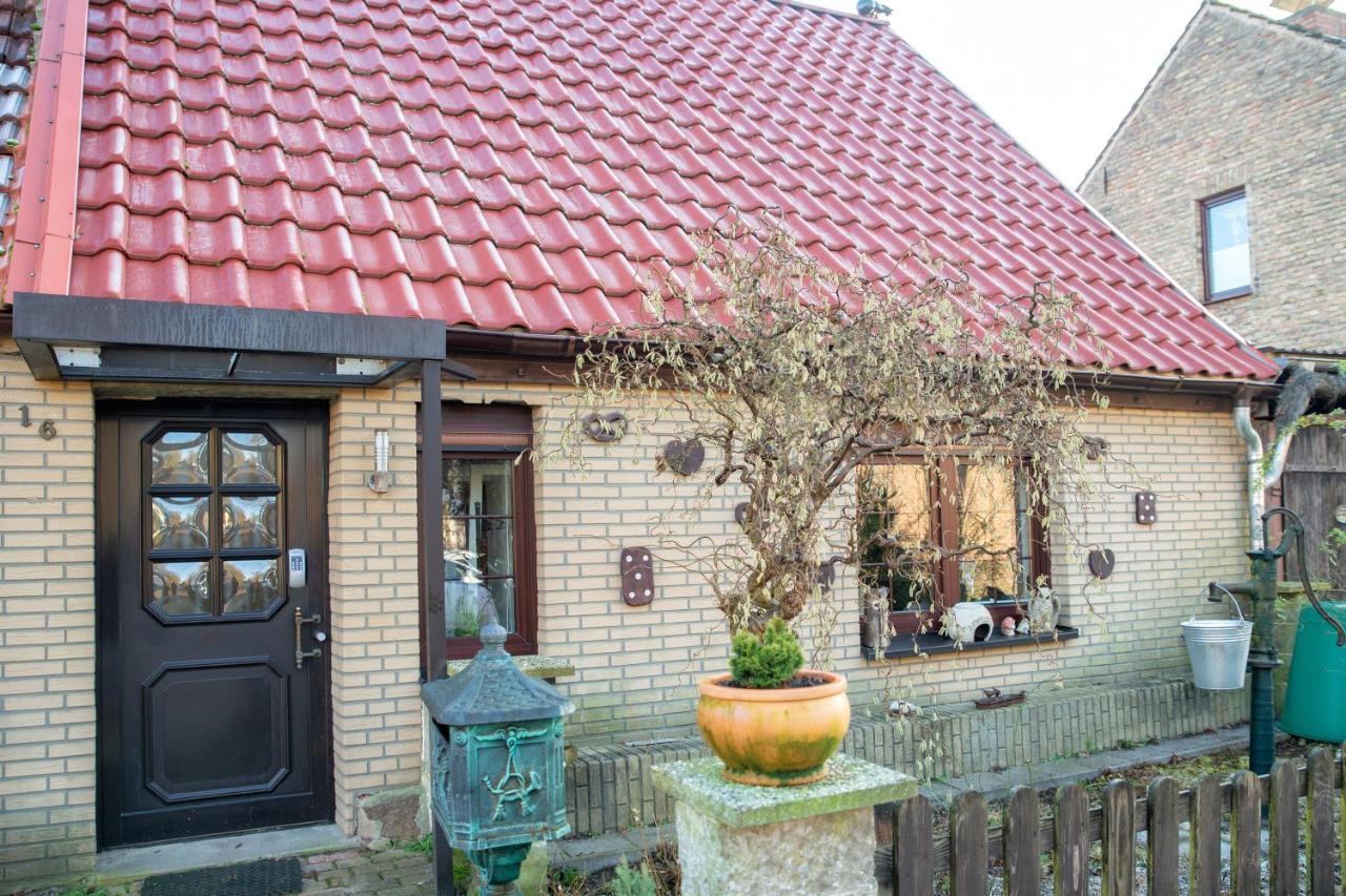 Ferienhaus Am Reiterhof เทมพลีน ภายนอก รูปภาพ